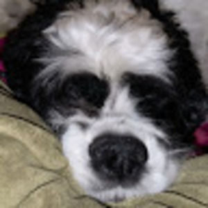 Meet your Posher, Meghan